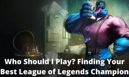 Best League of Legends Champion Play With Them