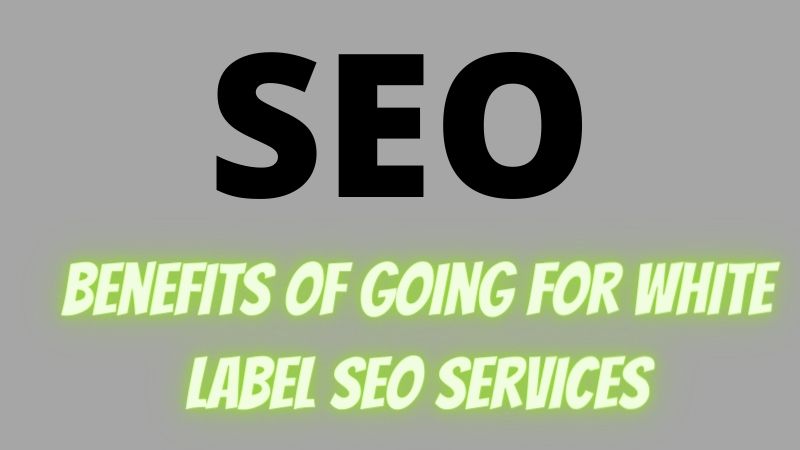 Benefits Of Going For White Label SEO Services