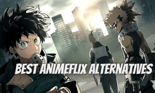The Best Animeflix Alternatives you will ever discover on the internet!