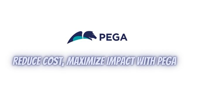 Reduce Cost, Maximize Impact With Pega