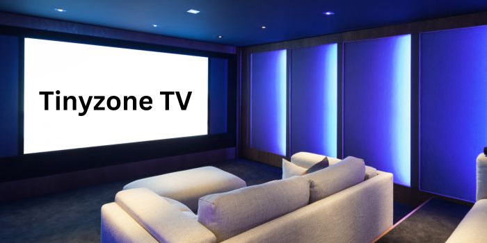 Tinyzone TV : Overview of the platform, its features, and services!